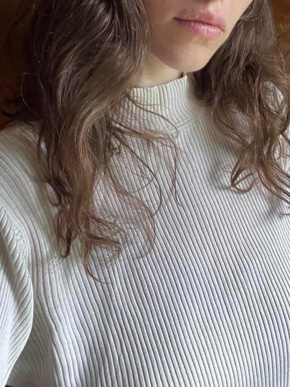 100% silk mockneck top